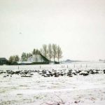 Snie Michiel 2010 (41)